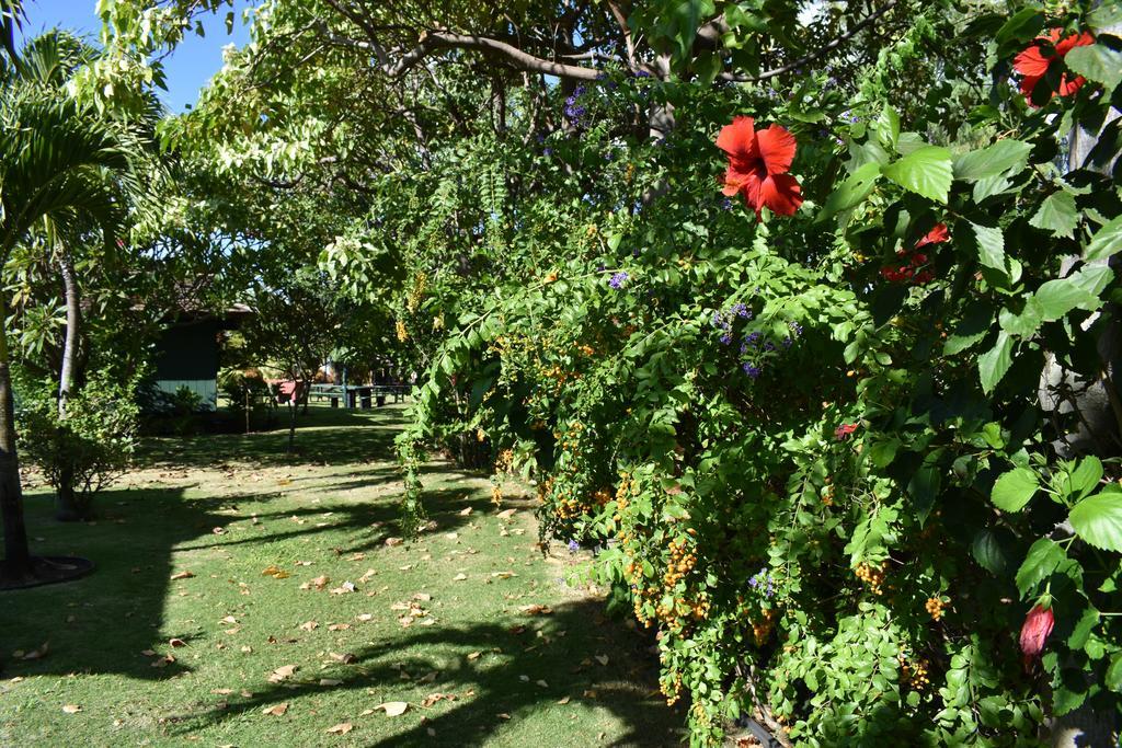 Nona Lani Cottages Kihei Kültér fotó