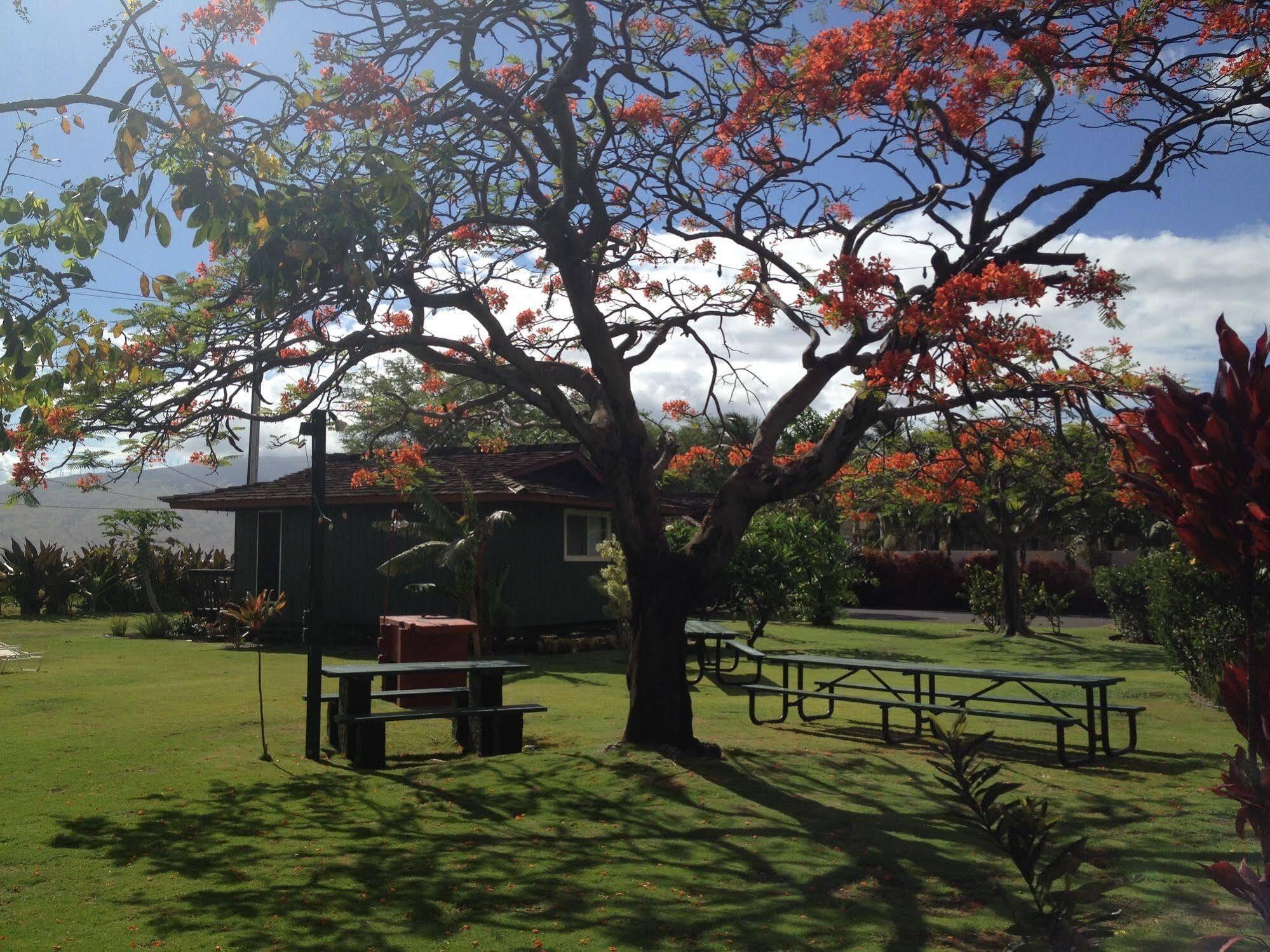 Nona Lani Cottages Kihei Kültér fotó